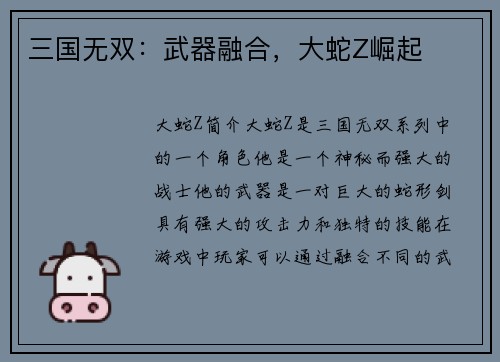 三国无双：武器融合，大蛇Z崛起